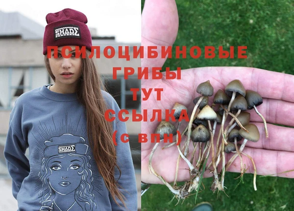 ECSTASY Бронницы