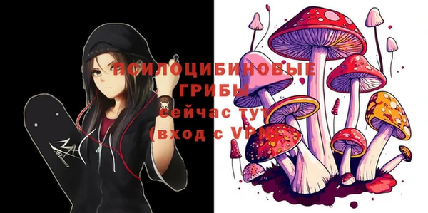 ECSTASY Бронницы