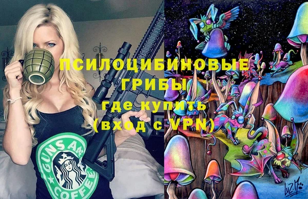 ECSTASY Бронницы