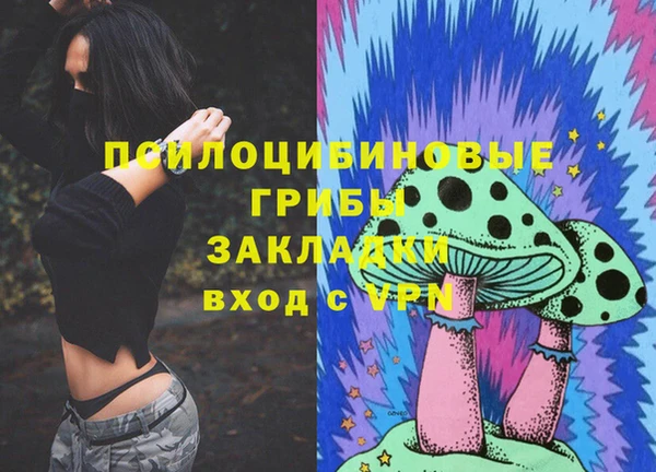 марки lsd Бородино