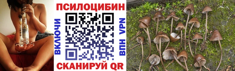 блэк спрут вход  Томари  Галлюциногенные грибы ЛСД 